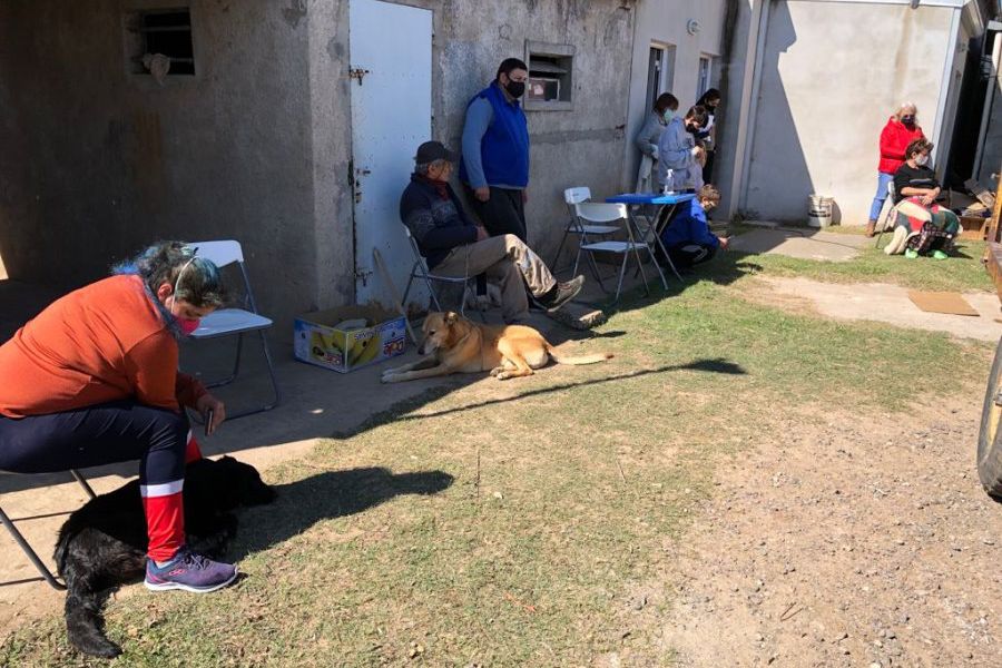 Mascotas Las Colonias