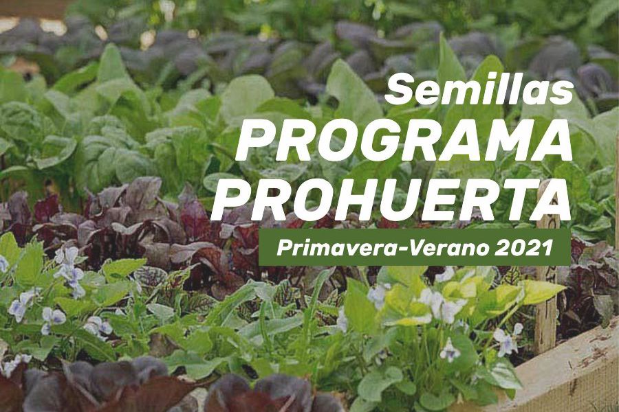 Semillas Pro Huerta a disposición