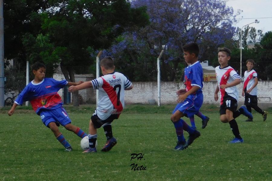 LEF Inferiores CADO vs CAF