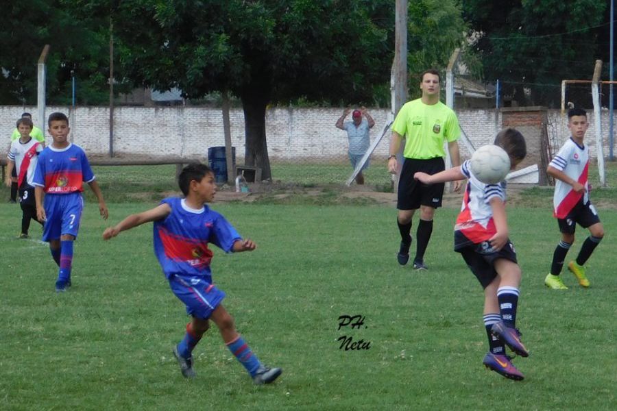 LEF Inferiores CADO vs CAF