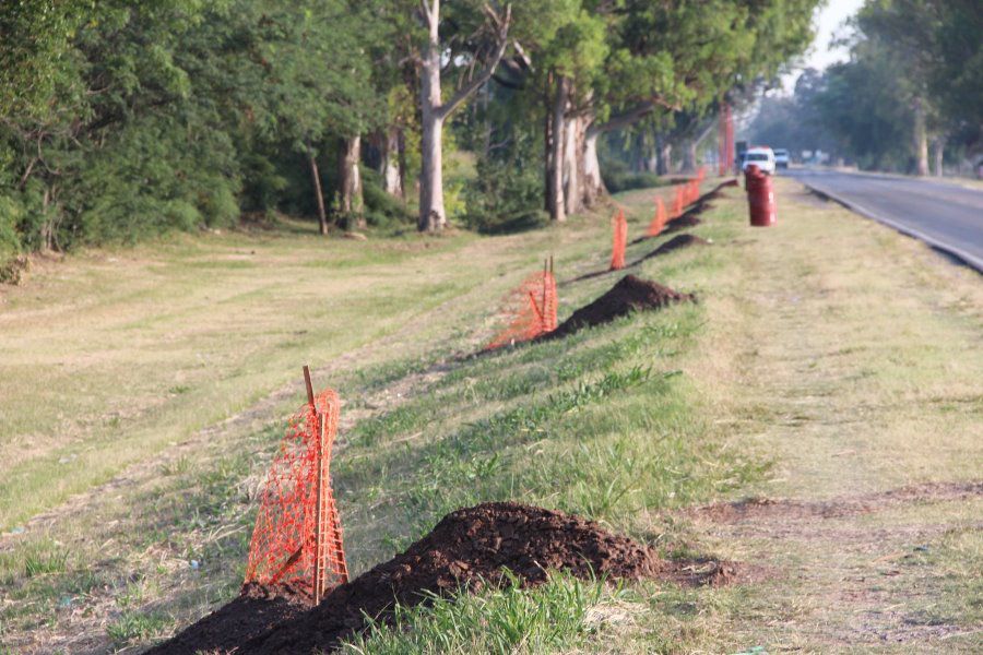 Extensión de luminarias sobre Ruta 6