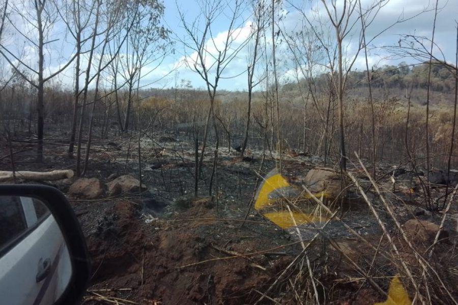 Bomberos franckinos en Corrientes