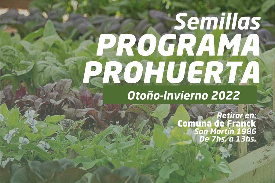 Semillas del Programa ProHuerta a disposición