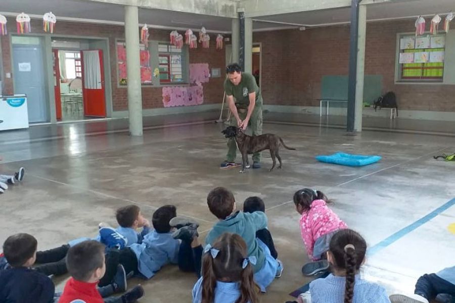 Charlas sobre tenencia responsable de mascotas