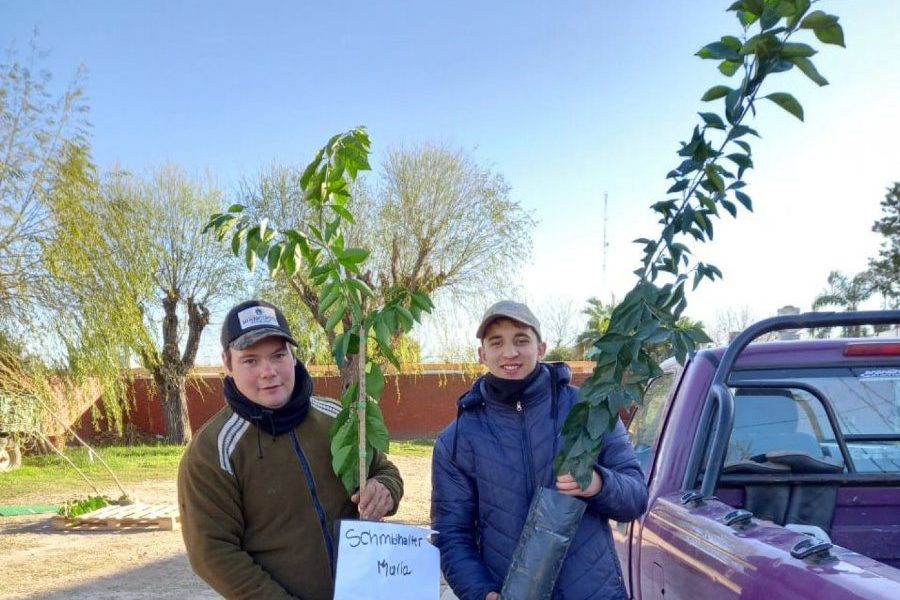 Proyecto Forestal de La Lehmann