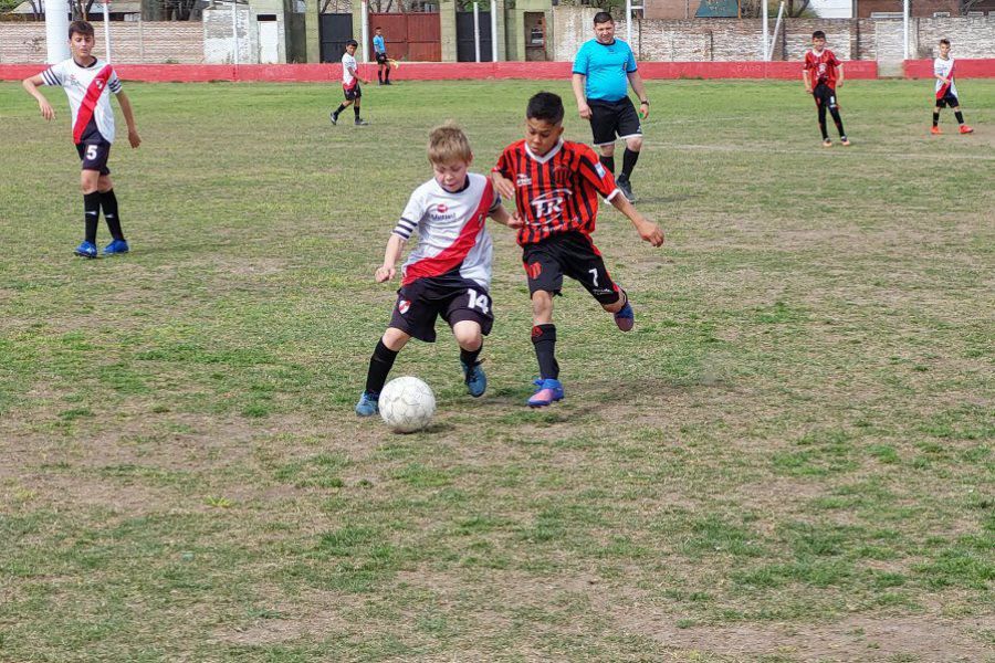 LEF Inferiores ADJ vs CAF