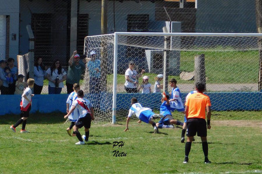 LEF Formativas CSyDA vs CAF