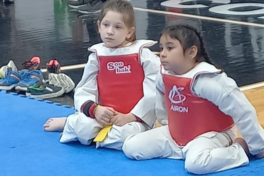 Open y Provincial de Taekwondo