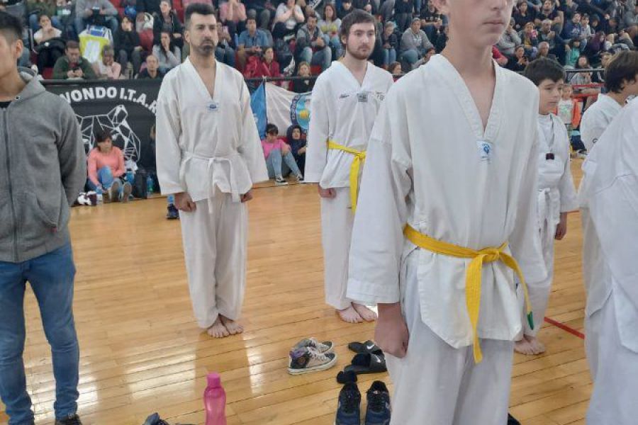 Open y Provincial de Taekwondo