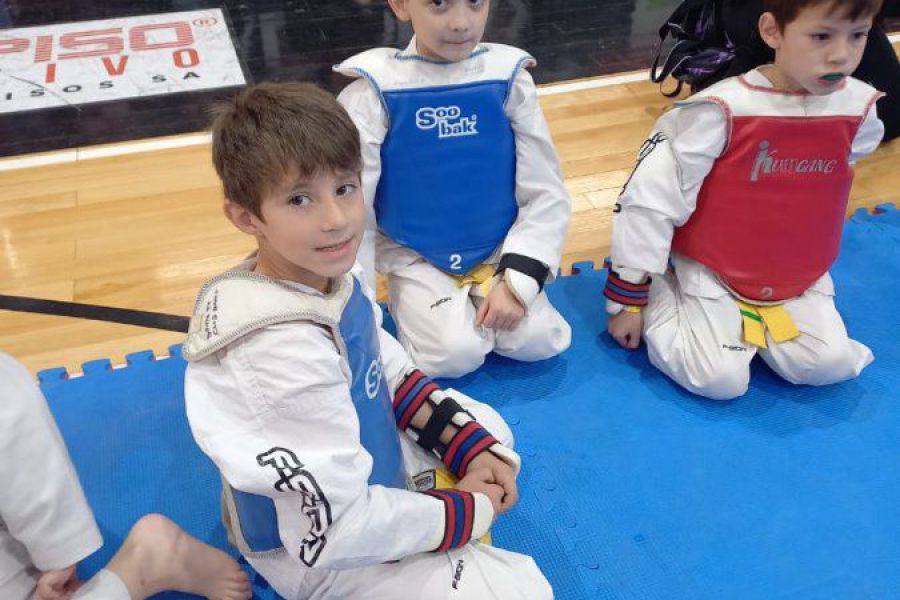 Open y Provincial de Taekwondo