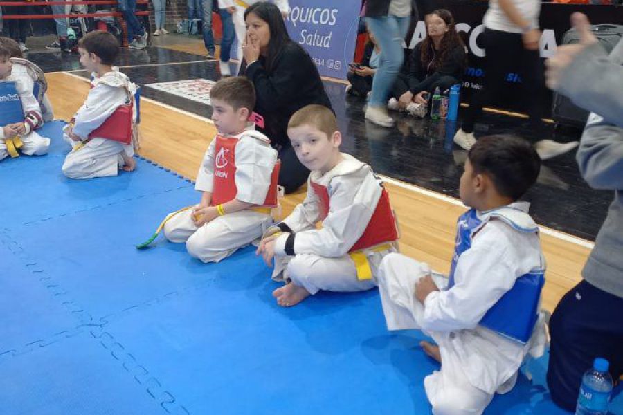 Open y Provincial de Taekwondo