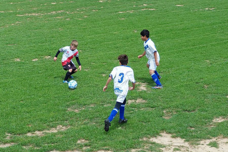 LEF Inferiores CAF vs SCFBC