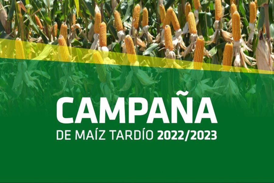Campaña de Maiz Tardío en La Lehmann