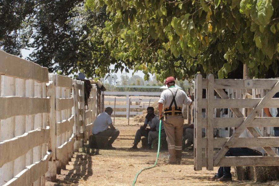 Remate de La Lehmann en Rafaela