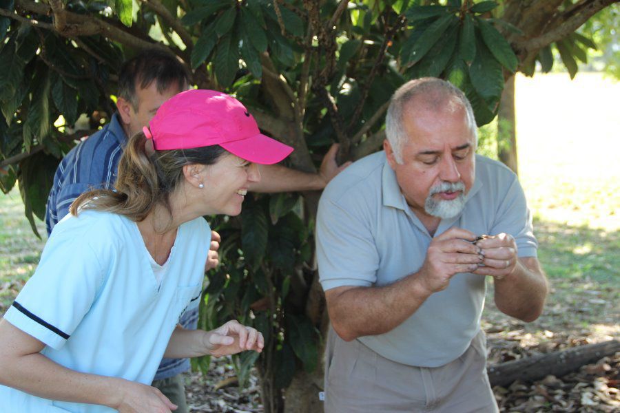 Lombricario en vivero comunal