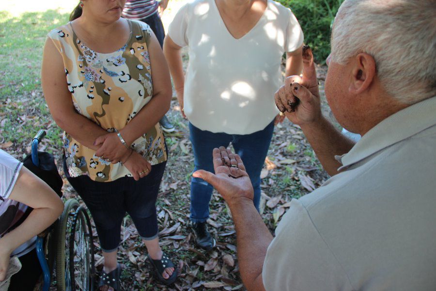 Lombricario en vivero comunal