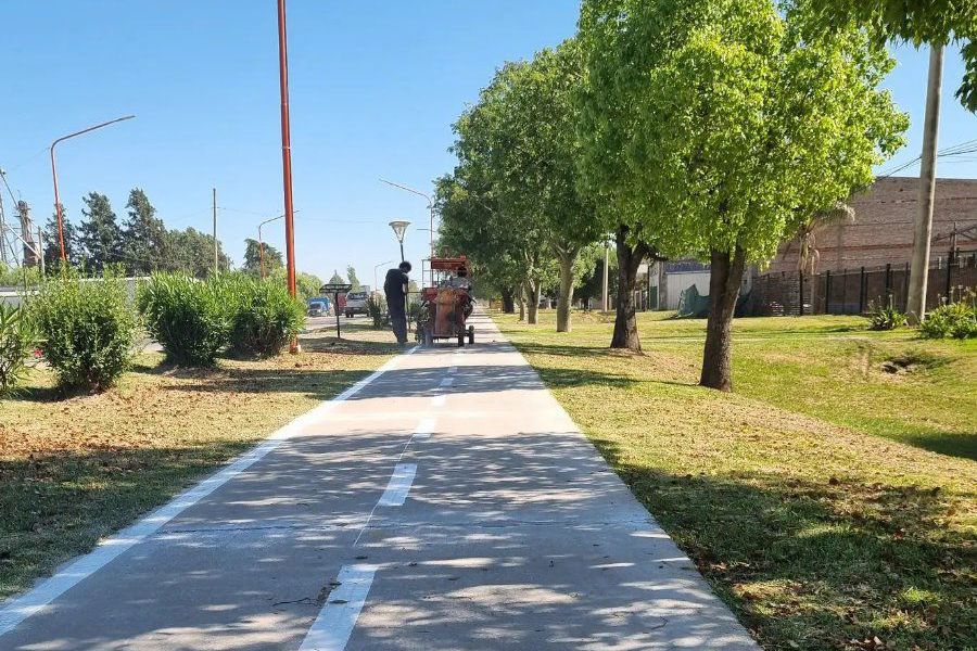 Demarcación horizontal en Ciclovía Norte