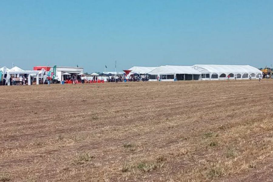 A Campo Abierto de La Lehmann