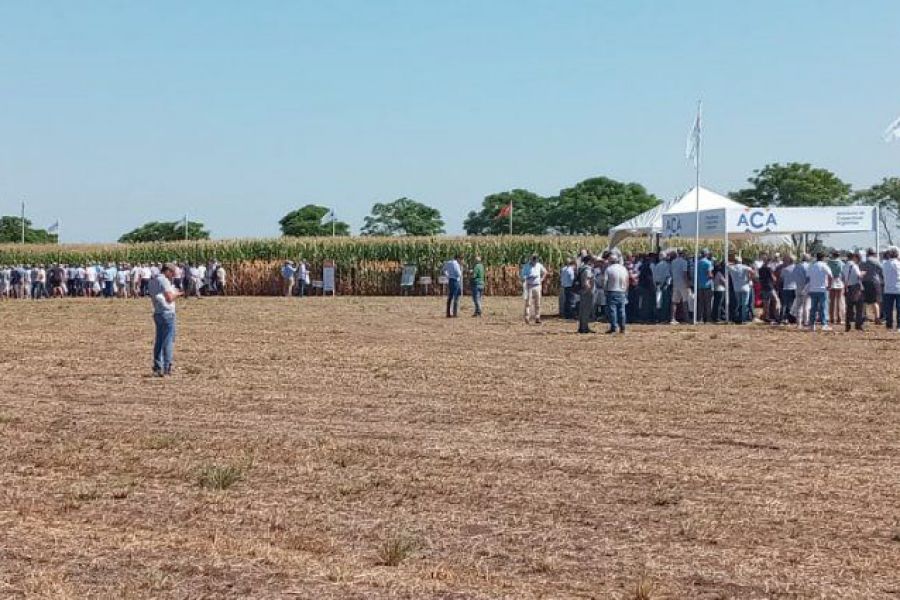 A Campo Abierto de La Lehmann