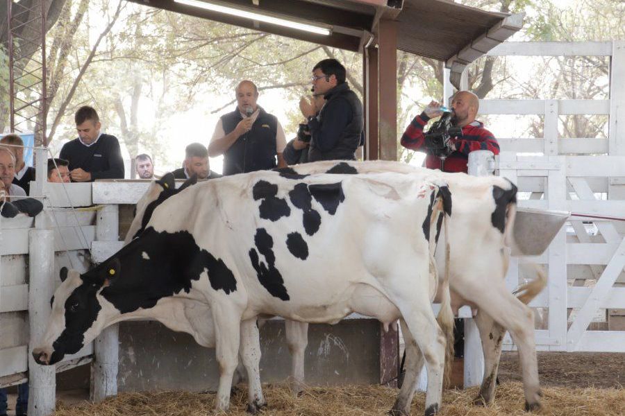 Vidriera Genética de La Lehmann en la SRLC