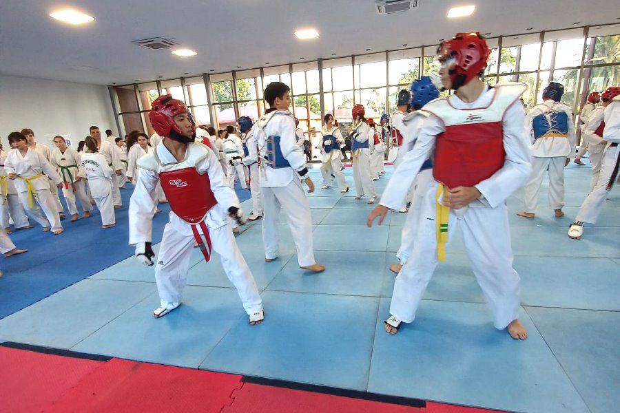 Charla abierta de Taekwondo WT Santafesino