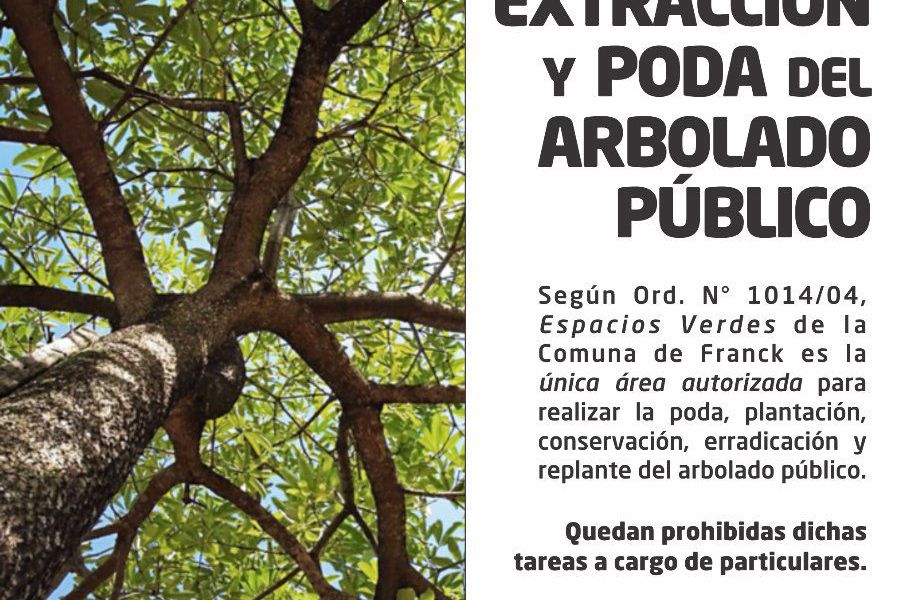 Reglamentación por la extracción y poda del arbolado público