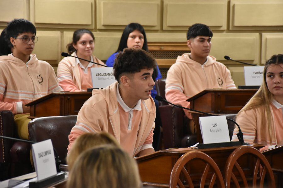 Jovenes en el Senado con Pirola