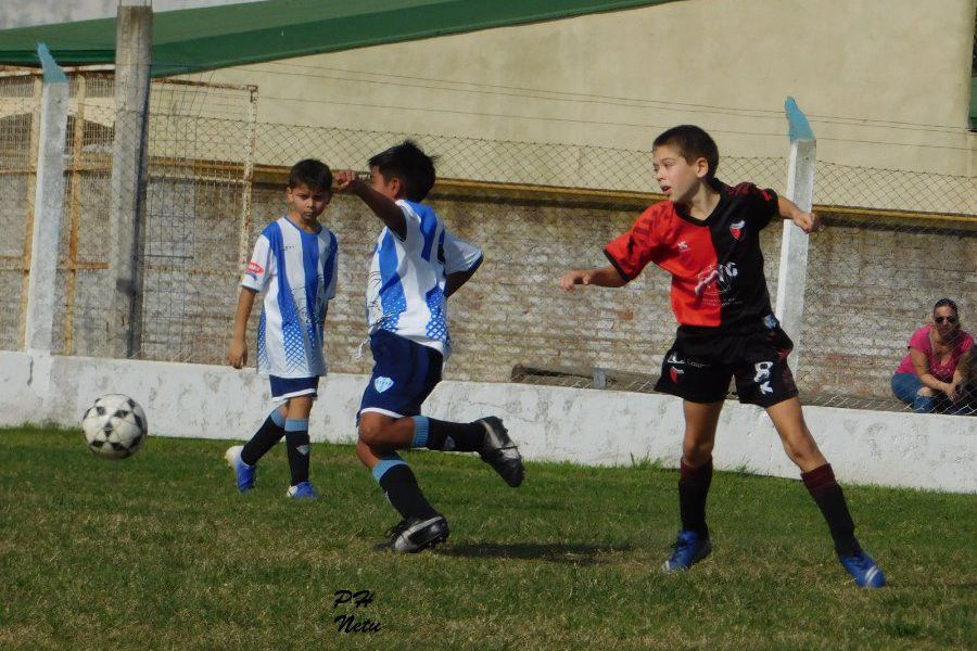 LEF Inferiores CSyDA vs CCSC