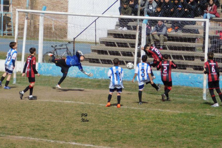 LEF Formativas CSyDA vs CAL