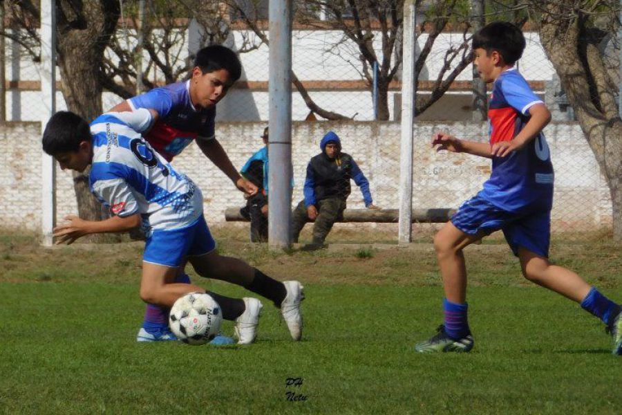 LEF Inferiores CADO vs CSyDA