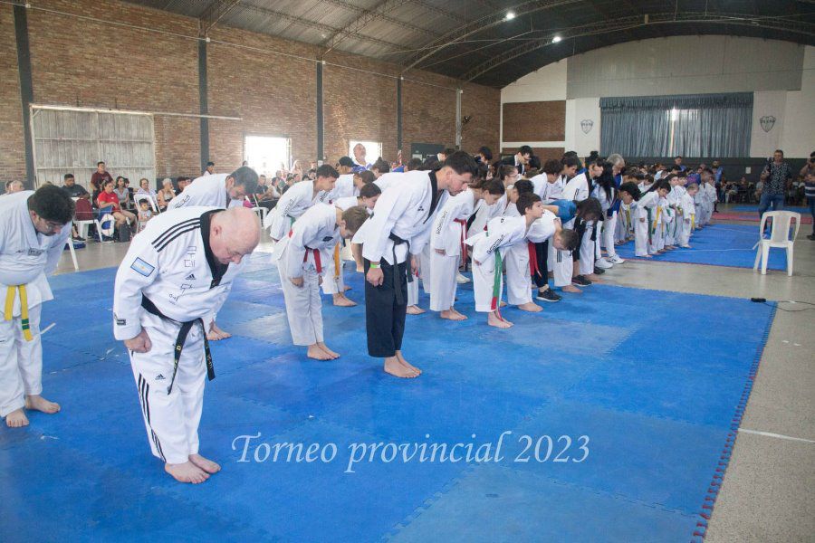 Encuentro y Torneo Provincial Taekwondo WT