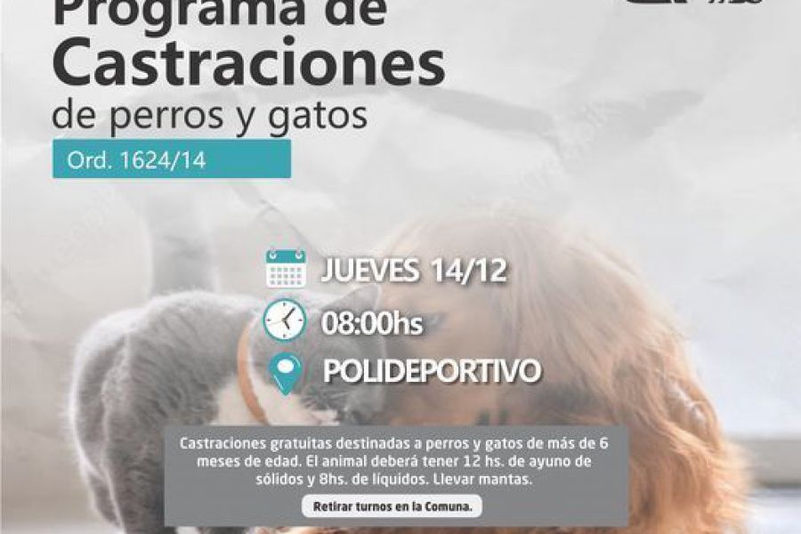 Nueva jornada de castraciones