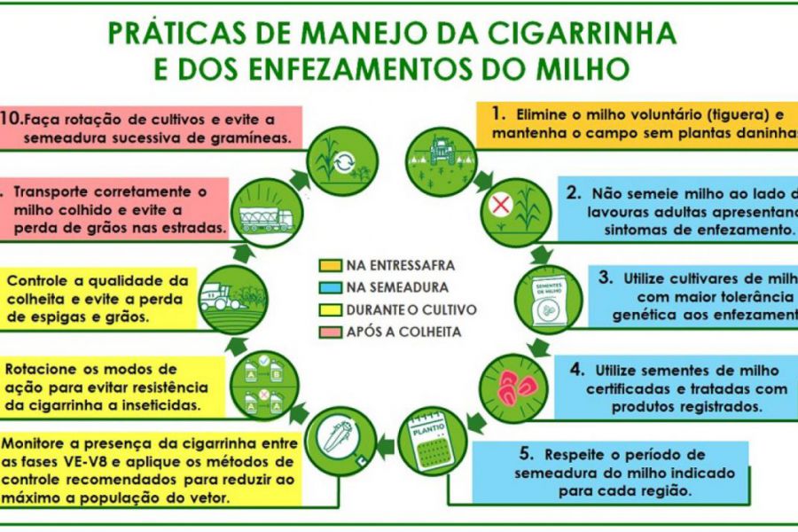 Prácticas de manejo de La Chicharrita