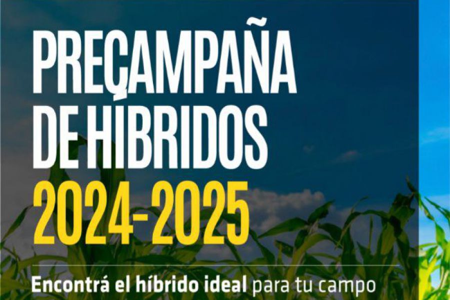 Precampaña de híbridos en La Lehmann