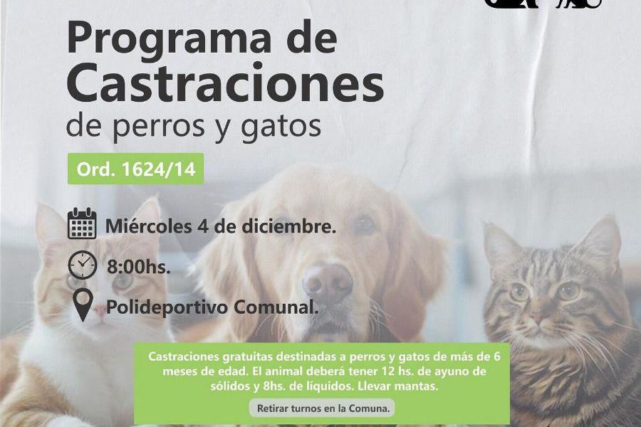 Nueva jornada de castraciones