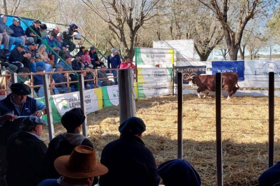 Octavo Gran Remate de Cabañas Santafesinas