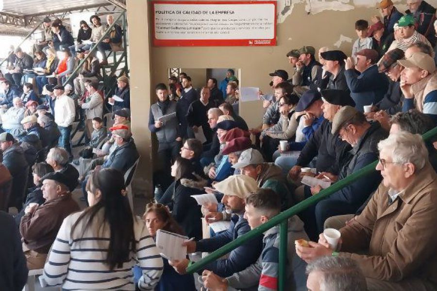Octavo Gran Remate de Cabañas Santafesinas