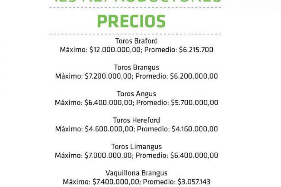 Octavo Gran Remate de Cabañas Santafesinas