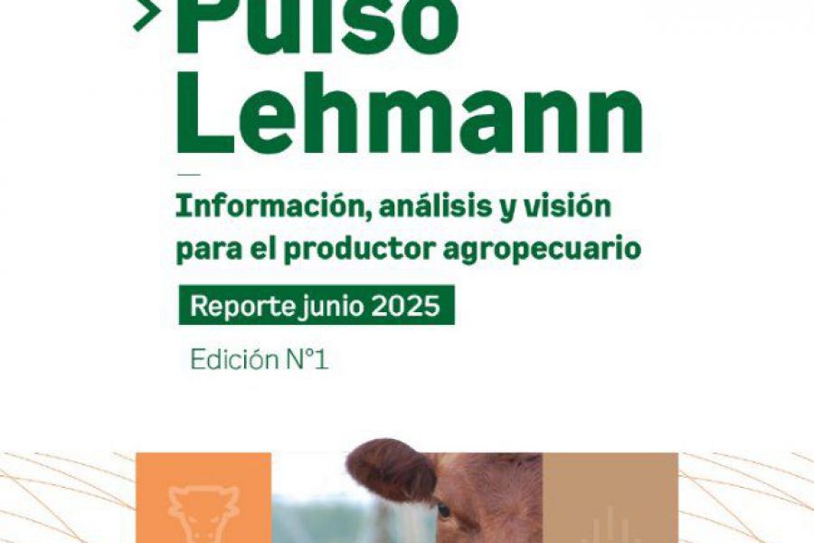 Pulso Lehmann - Reporte Junio 2025