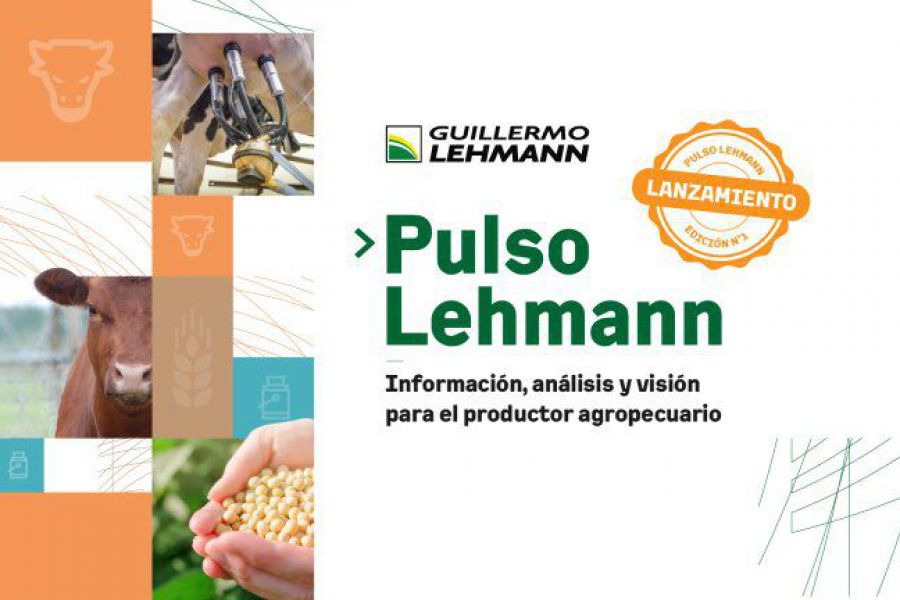 Pulso Lehmann