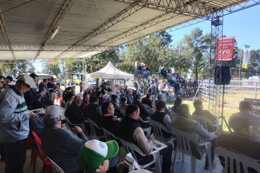 Remate de reproductores en Romang