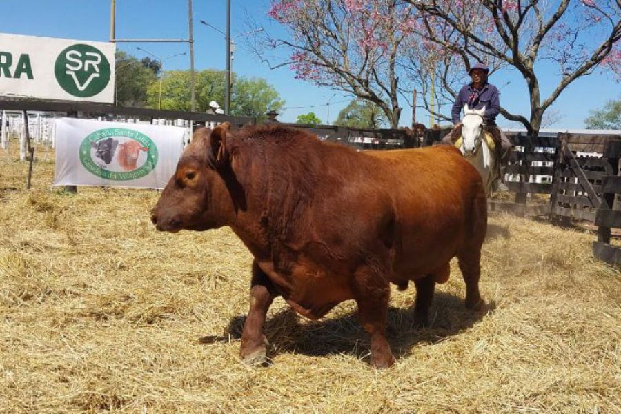 Undécimo Remate de La Lehmann en Vera