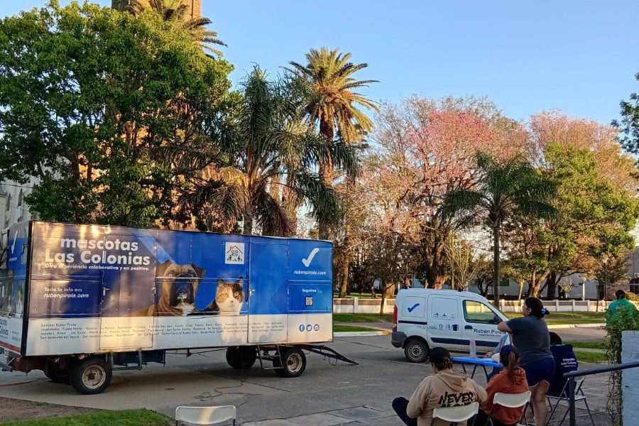 Mascotas Las Colonias