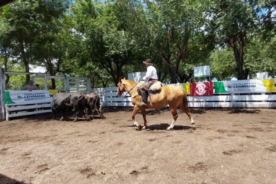 Remate Raza Carne de La Lehmann en Emilia