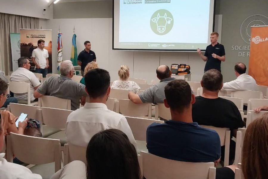 Remate Holando de La Lehmann