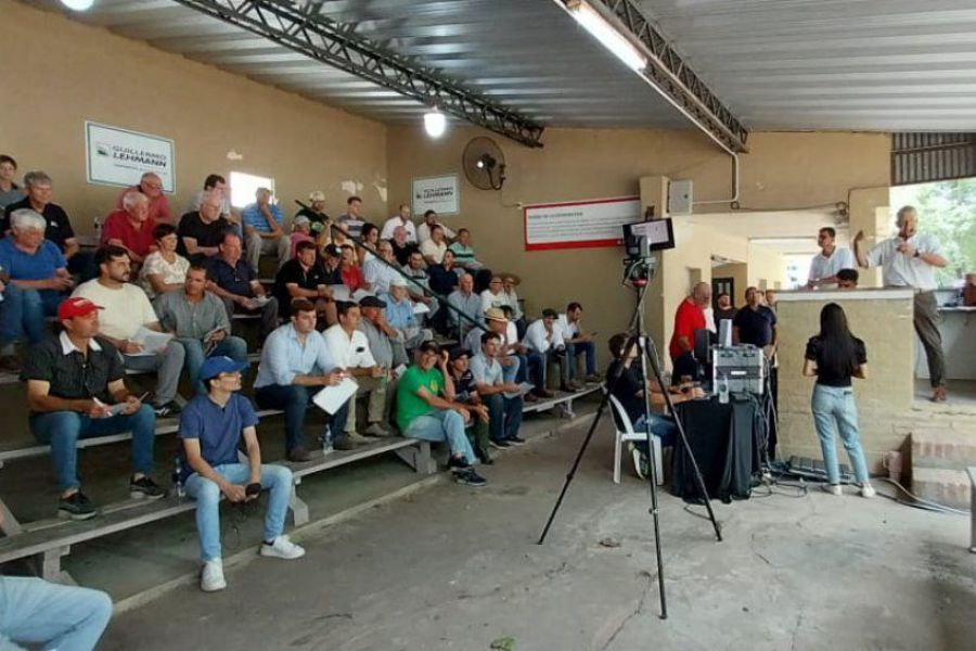 Remate Raza Carne de La Lehmann en Emilia