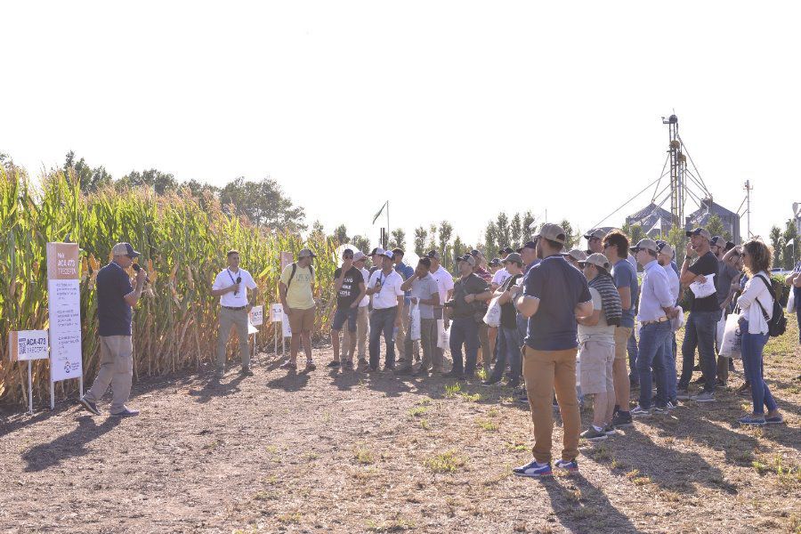 Expo Lehmann en Pilar