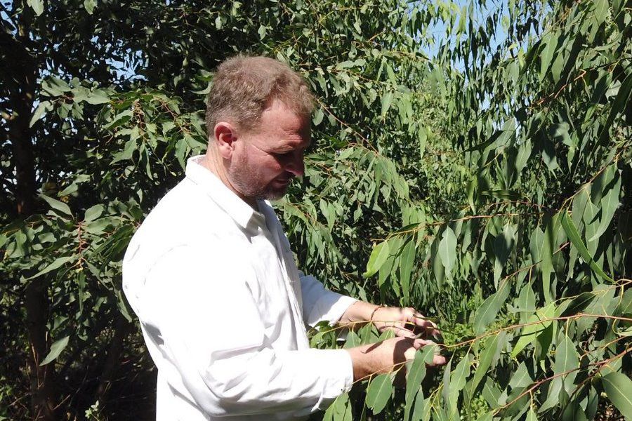 Ing Claudio Ortmann en reserva forestal de La Lehmann