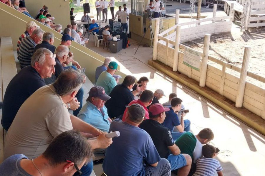 Remate tambero en La Lehmann