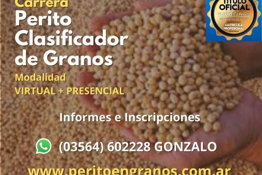 Perito Clasificador de Granos